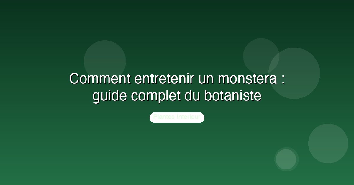 Comment entretenir un monstera : guide complet du botaniste
