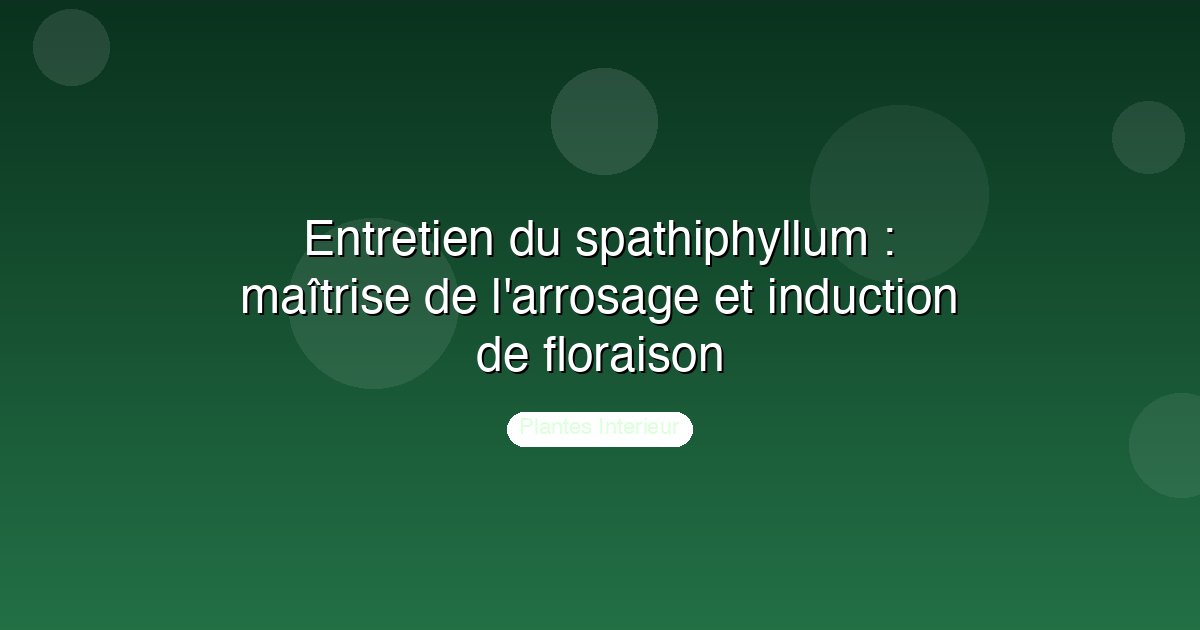 Entretien du spathiphyllum : maîtrise de l'arrosage et induction de floraison