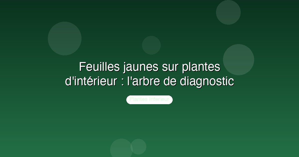 Feuilles jaunes sur plantes d'intérieur : l'arbre de diagnostic