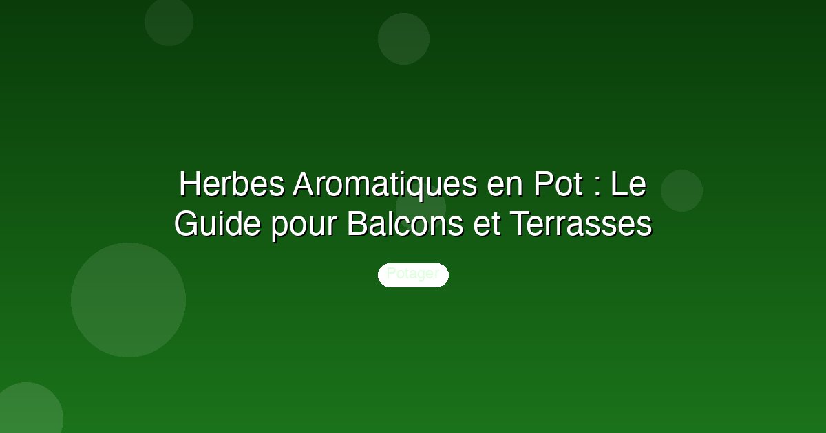 Herbes Aromatiques en Pot : Le Guide pour Balcons et Terrasses
