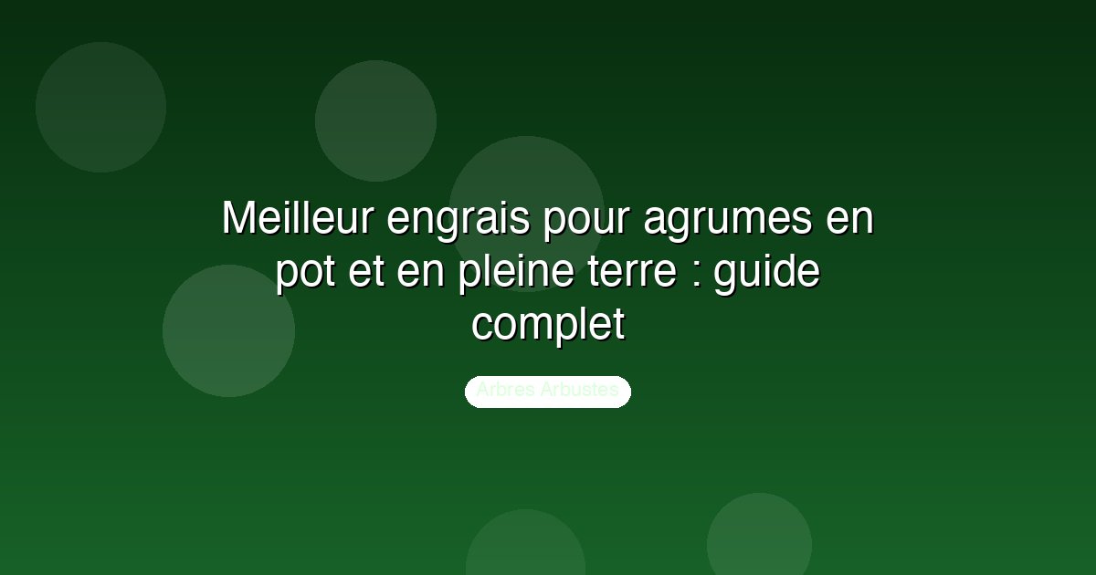 Meilleur engrais pour agrumes en pot et en pleine terre : guide complet