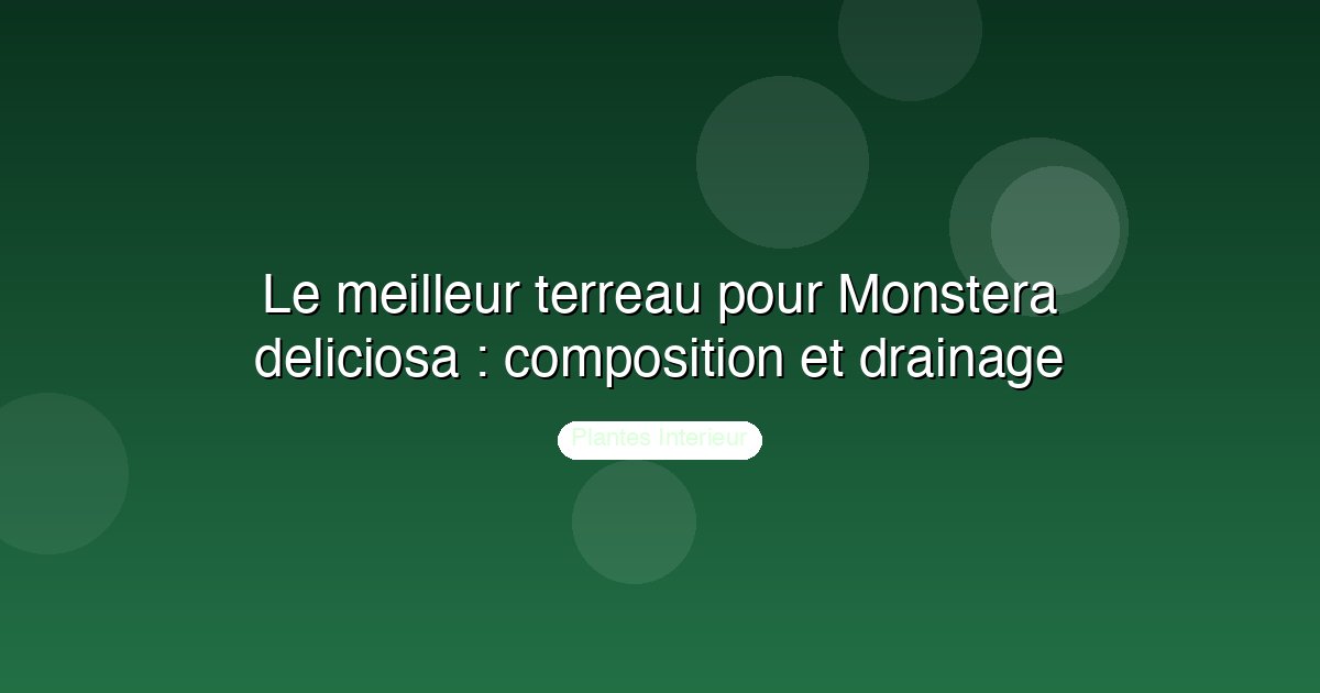 Le meilleur terreau pour Monstera deliciosa : composition et drainage