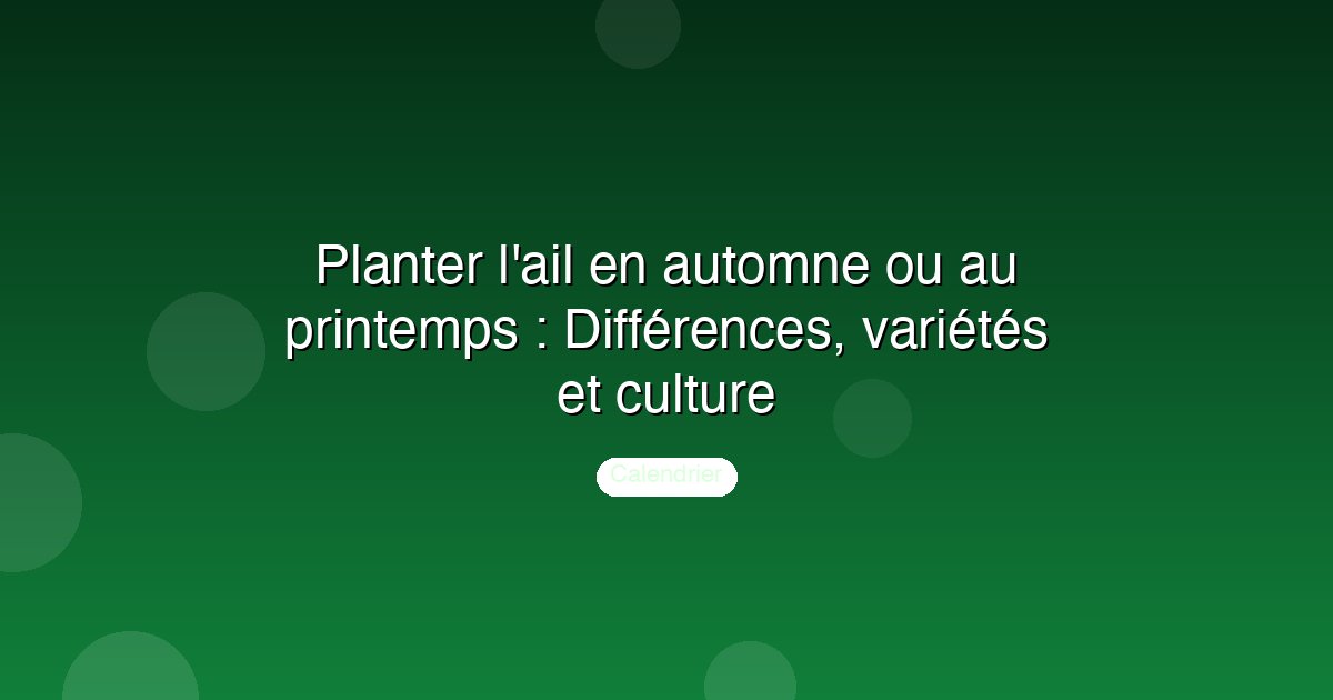 Planter l'ail en automne ou au printemps : Différences, variétés et culture