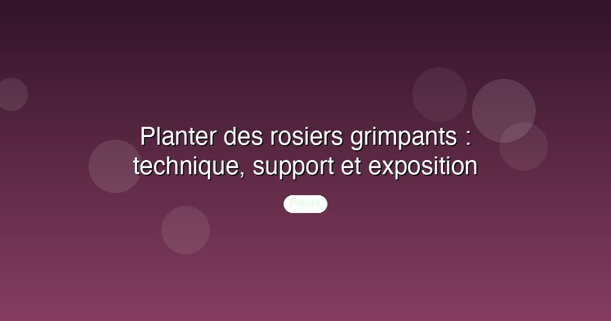 Planter des rosiers grimpants : technique, support et exposition