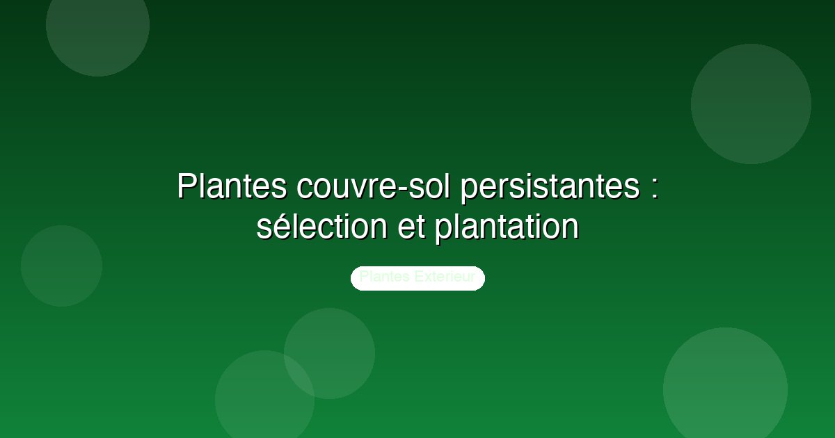 Plantes couvre-sol persistantes : sélection et plantation