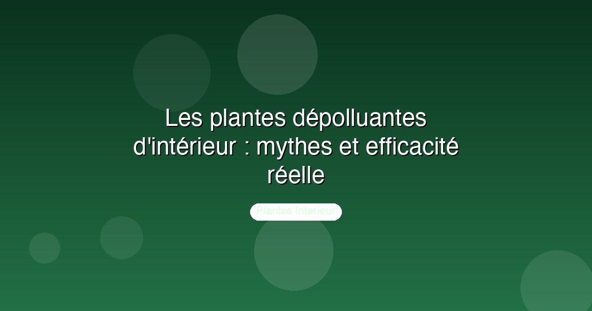 Les plantes dépolluantes d'intérieur : mythes et efficacité réelle