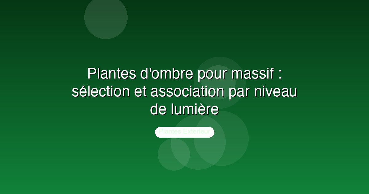 Plantes d'ombre pour massif : sélection et association par niveau de lumière