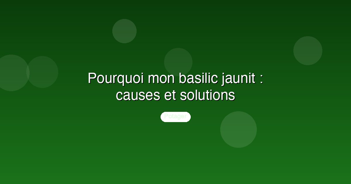Pourquoi mon basilic jaunit : causes et solutions