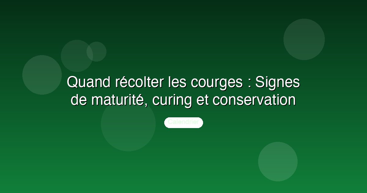 Quand récolter les courges : Signes de maturité, curing et conservation
