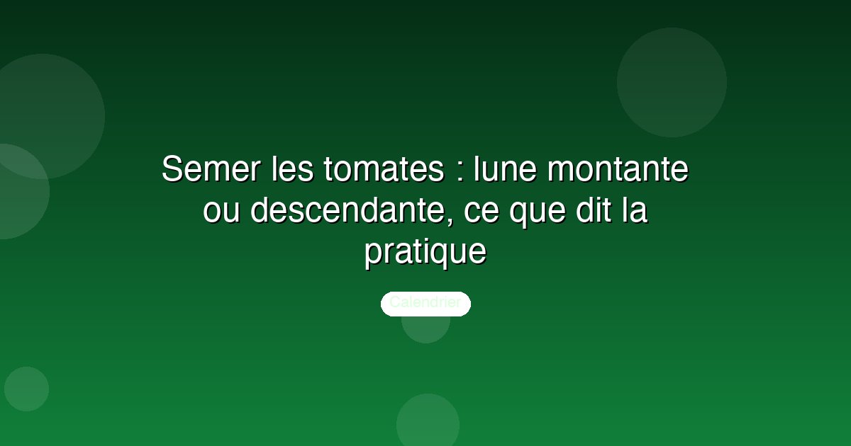 Semer les tomates : lune montante ou descendante, ce que dit la pratique